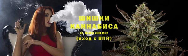PSILOCYBIN Тында