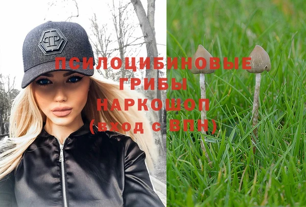 PSILOCYBIN Тында