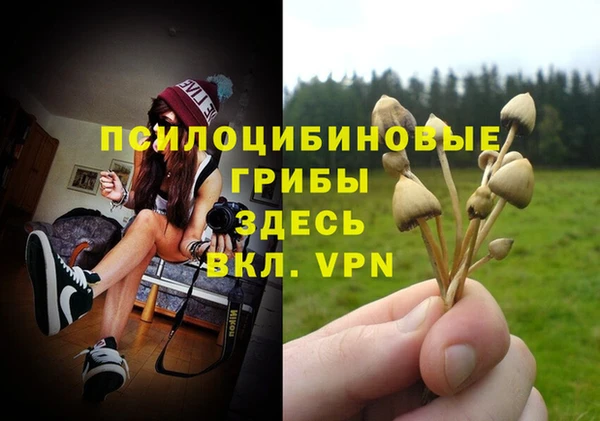 a pvp Туринск