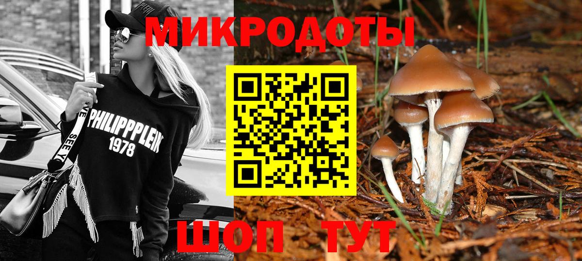 где купить наркоту  Псилоцибиновые грибы Magic Shrooms  Вход с VPN  Десногорск 