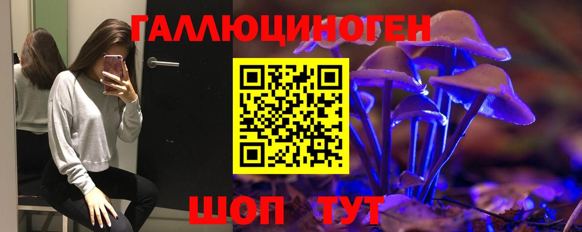 Псилоцибиновые грибы Psilocybe Десногорск